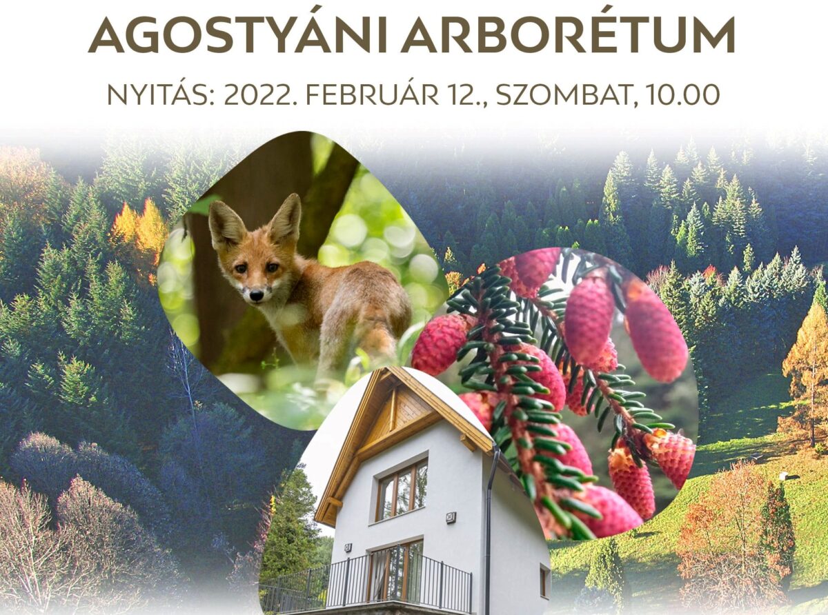 Kiemelt kép a Kinyitja kapuit az Agostyáni Arborétum című bejegyzéshez