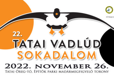 Kiemelt kép a 22. Tatai Vadlúd Sokadalom november 26-án az Öreg-tó partján című bejegyzéshez