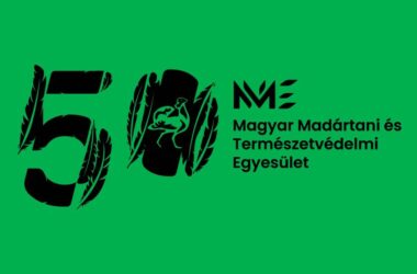 Kiemelt kép a Idén 50 éves a Magyar Madártani Egyesület című bejegyzéshez