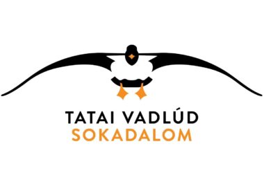 Kiemelt kép a 24. Tatai Vadlúd Sokadalom-November 30. című bejegyzéshez