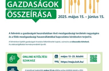 Kiemelt kép a Egyéni gazdaságok összeírása 2025-ben – A KSH tájékoztatója című bejegyzéshez