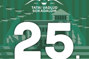Kiemelt kép a 25 éves a Tatai Vadlúd Sokadalom című bejegyzéshez