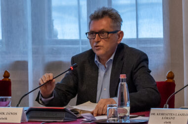 Kiemelt kép a Felfüggesztik a pusztavámi Cicahomok-bánya rekultivációját című bejegyzéshez