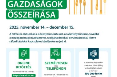 Kiemelt kép a Tájékoztató – Egyéni gazdaságok decemberi összeírása 2025 című bejegyzéshez