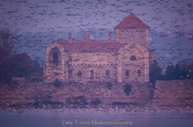 Kiemelt kép a Ramsari Városok Polgármestereinek 4. Kerekasztal Találkozója Tata – November 27-29. című bejegyzéshez