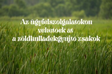 Kiemelt kép a Az ügyfélszolgálatokon vehetőek át a zöldhulladékgyűjtő zsákok című bejegyzéshez